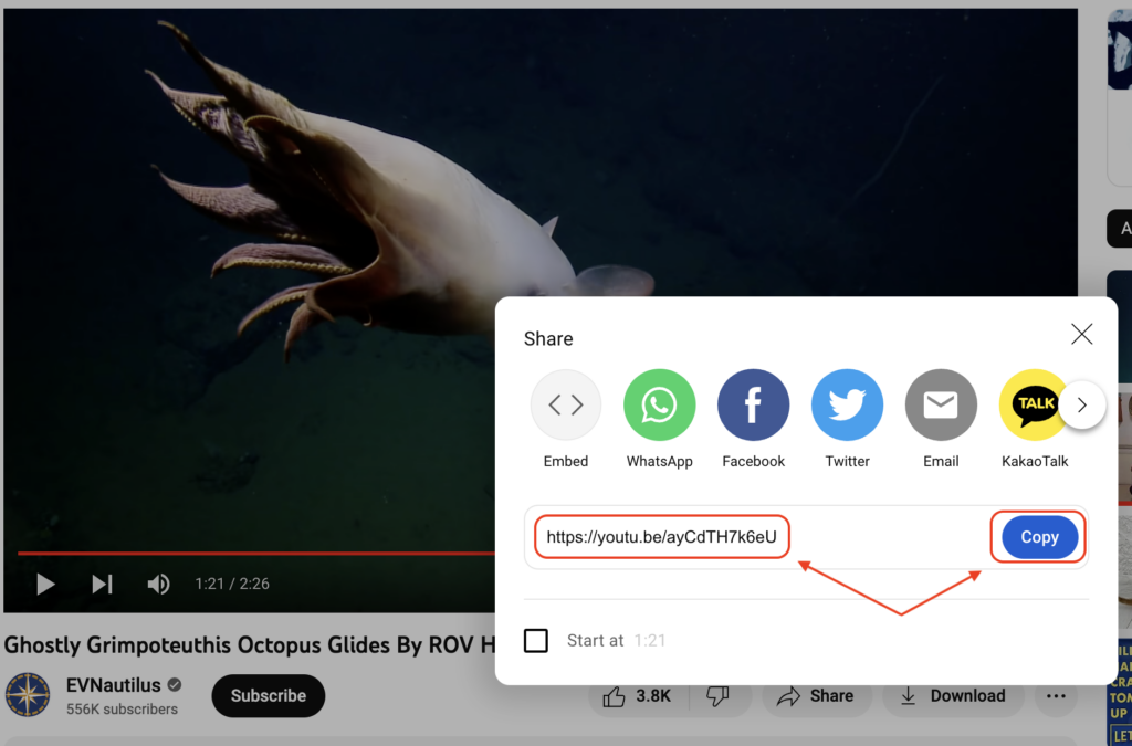 Location of the share URL on the YouTube page